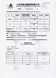 檢測(cè)儀器報(bào)告證書：涂層測(cè)厚儀